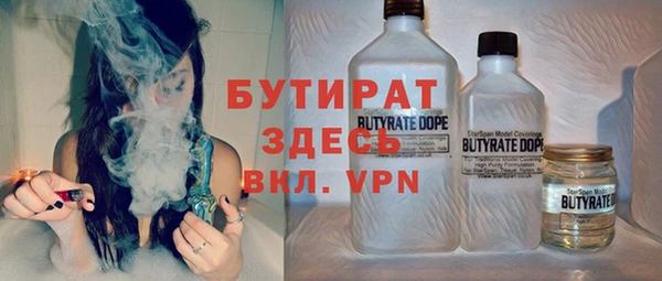 прущие грибы Абаза