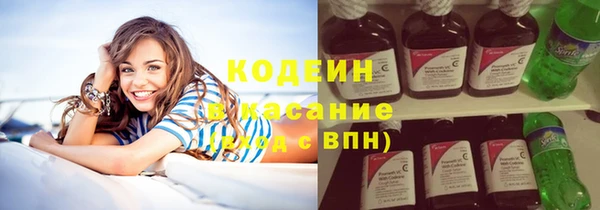 прущие грибы Абаза