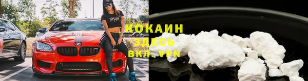 прущие грибы Абаза