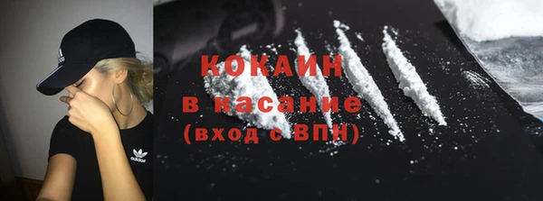 прущие грибы Абаза
