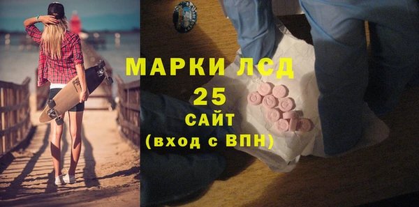 прущие грибы Абаза