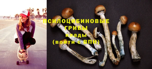 первитин Абинск
