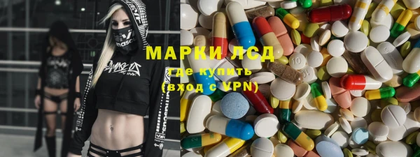 прущие грибы Абаза