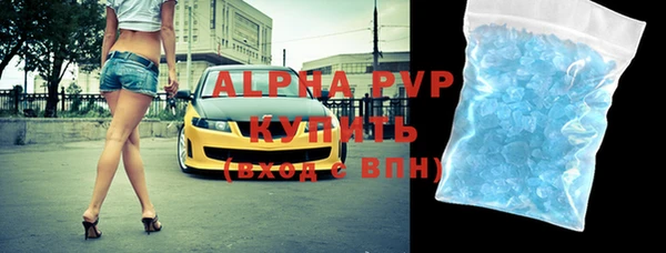 прущие грибы Абаза