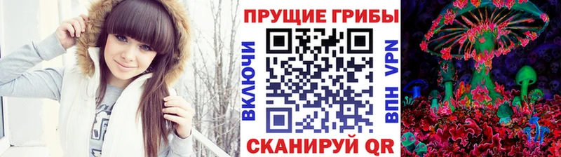 Псилоцибиновые грибы Psilocybe  как найти закладки  Уржум 